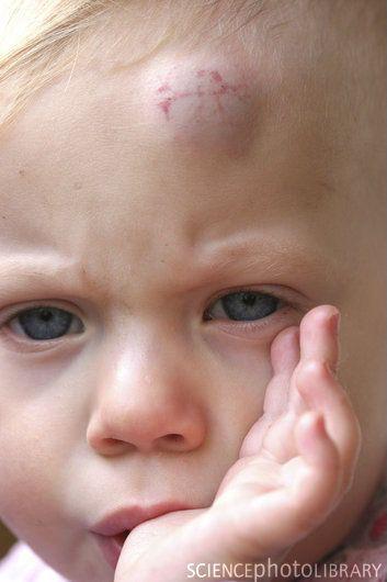 09416db4-7c0f-4055-ad42-c616a01d008d