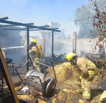 73f0404e-c59b-4d10-a972-0194905ccacb