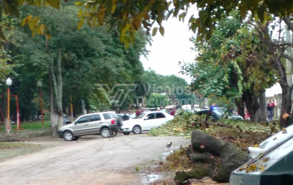 PicsArt_04-27-12.12.14