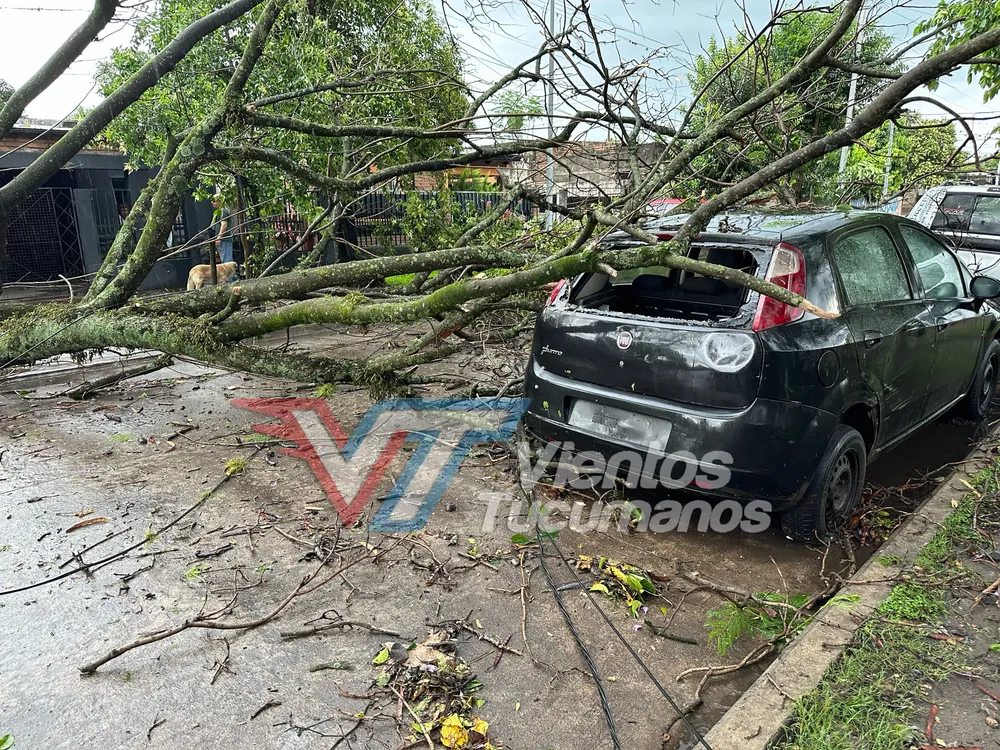 7424B150-E6CD-47E5-BC9A-15CE1B0B23DB