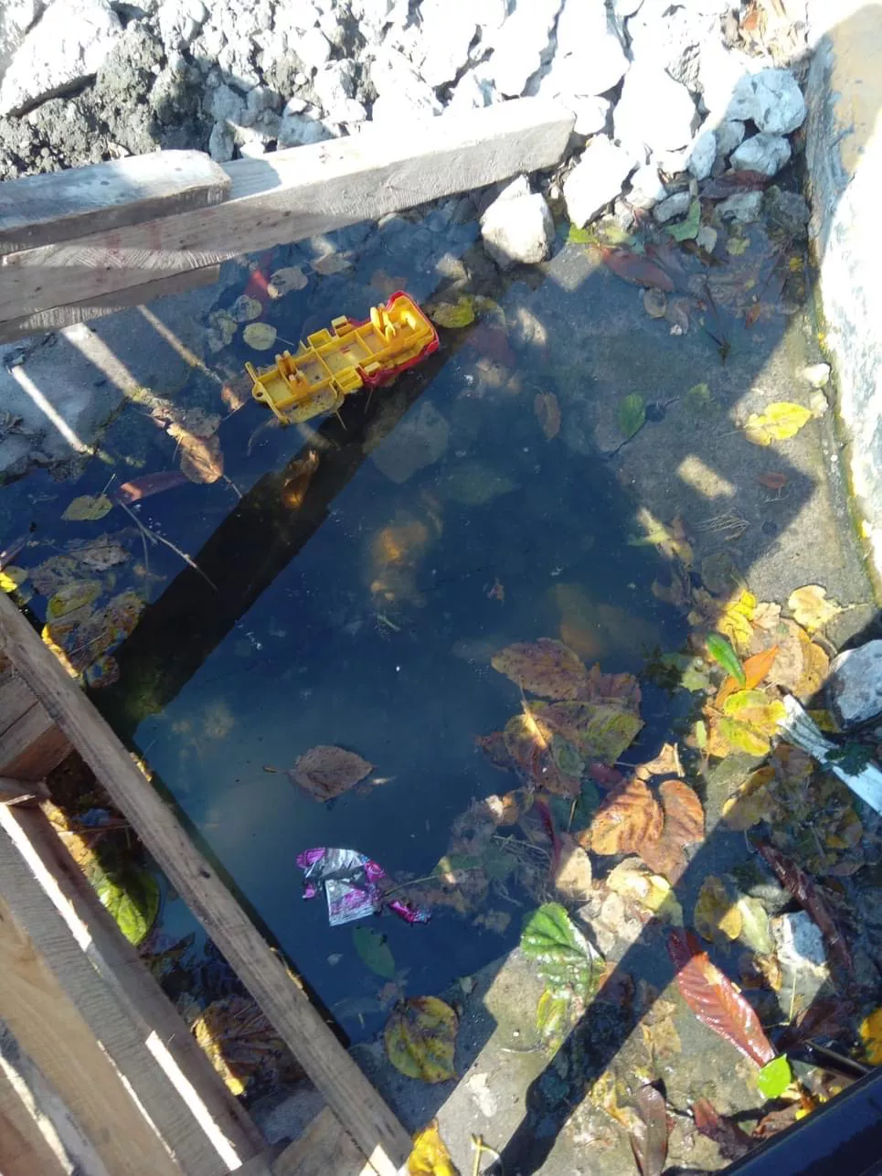 B0475DD3-6B16-4452-9696-30AACADBA375