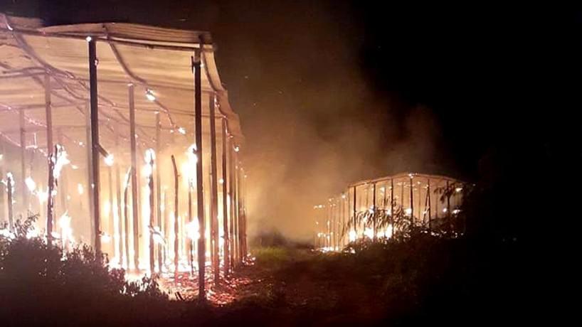 fuego alberdi tabaco2