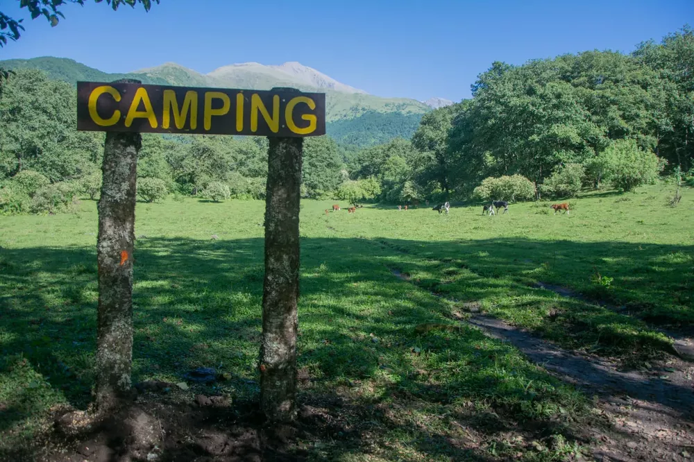 9A7B5FDA-3114-4297-AA69-6C32C3589AA3