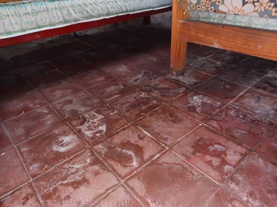 FB_IMG_1616691634704