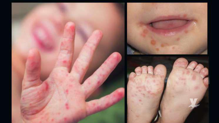 454257cb-ce25-46c6-a3b5-48bb705278e5