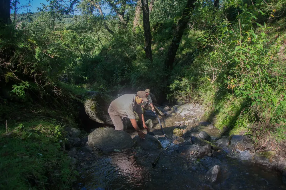 B8EF129E-5931-4800-ABFB-485B6483B926