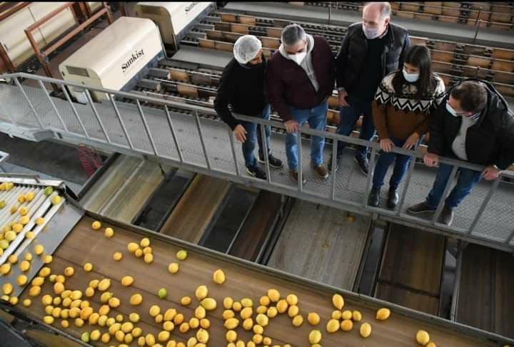 Alfaro Y Albarrac N Visitaron Una Planta Procesadora De Citrus