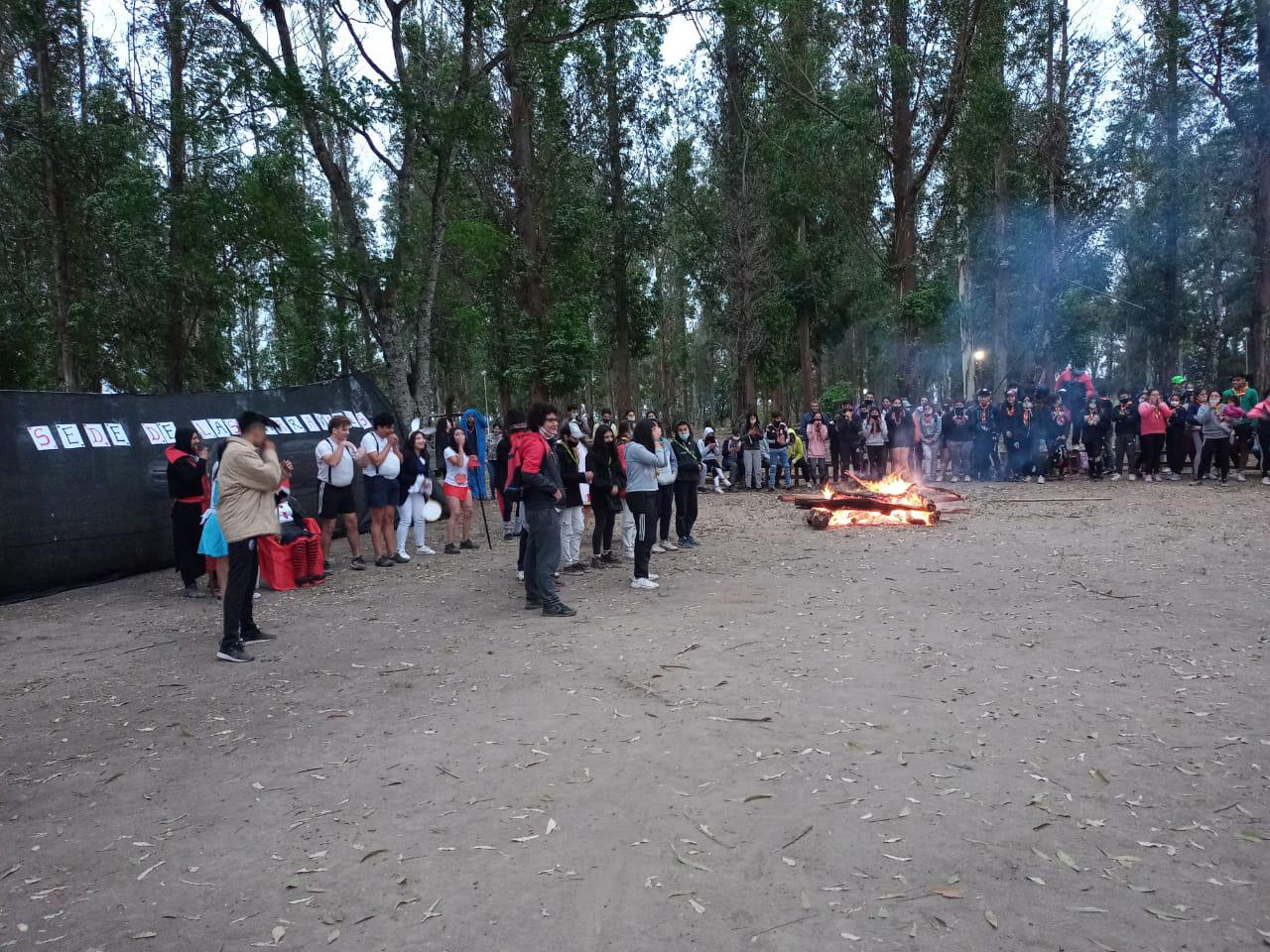 8a6aecc6-1c0b-41e1-b57d-f3d9b4b2c833