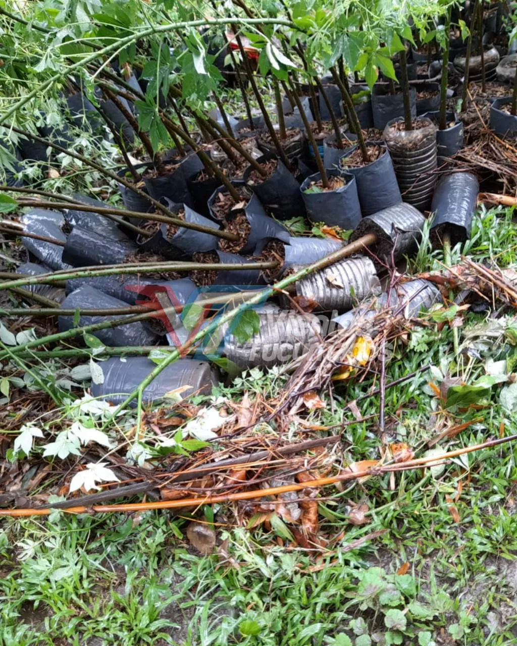 photo_2023-02-06_09-15-36