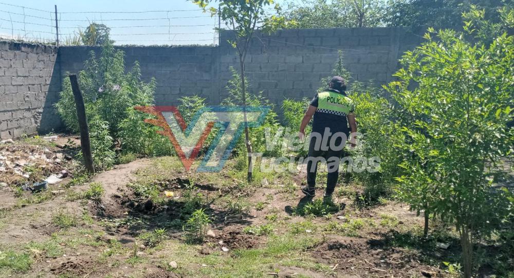 Picsart_22-10-01_13-37-05-118