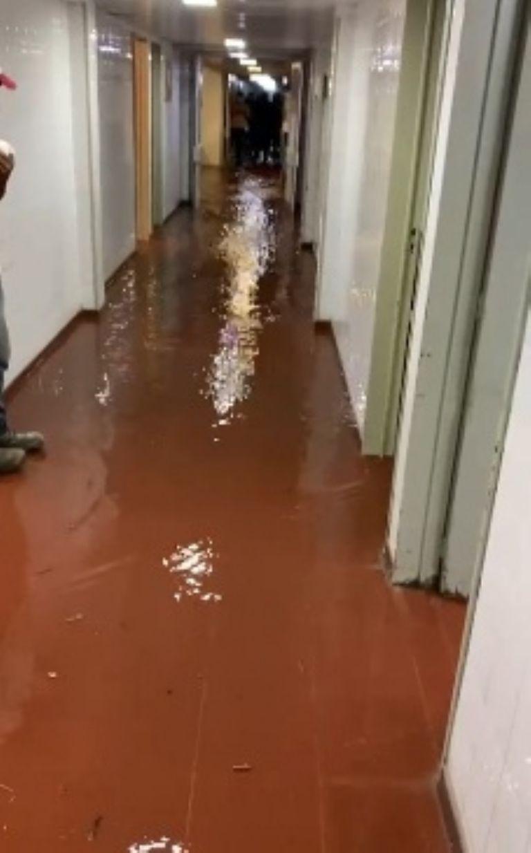 f768x1-214545_214672_5050