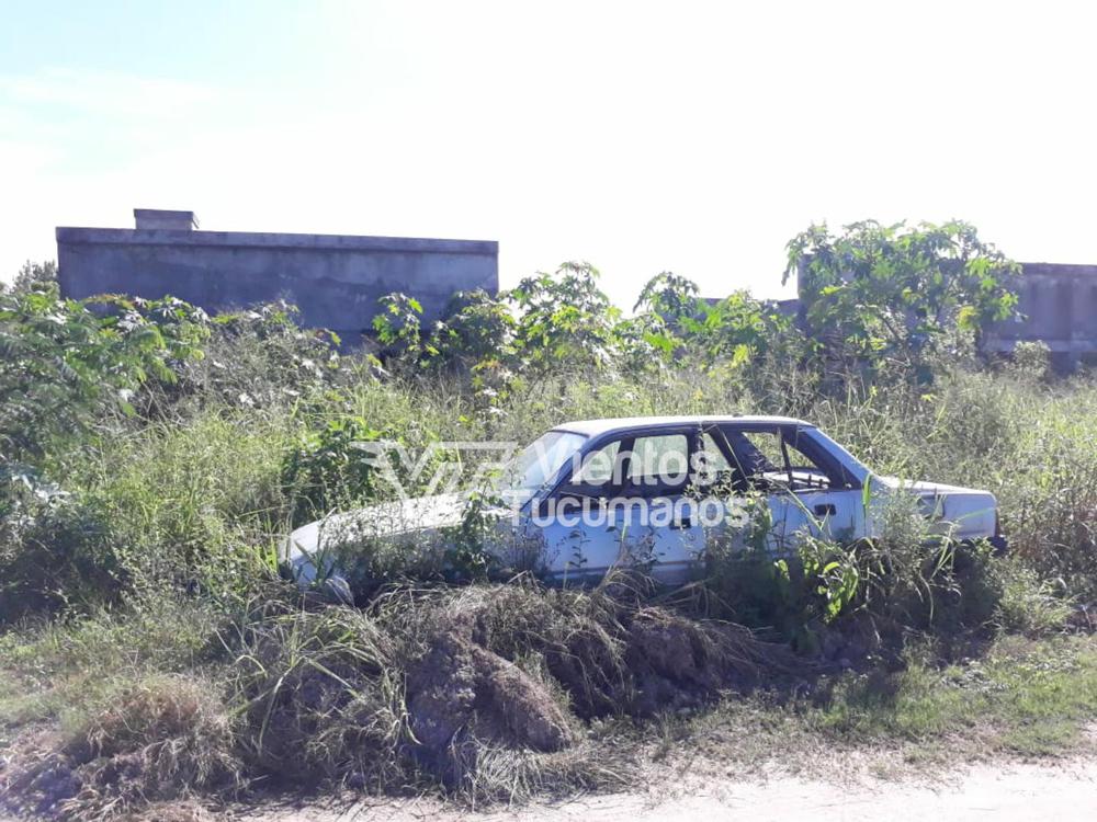 PicsArt_03-30-02.15.47