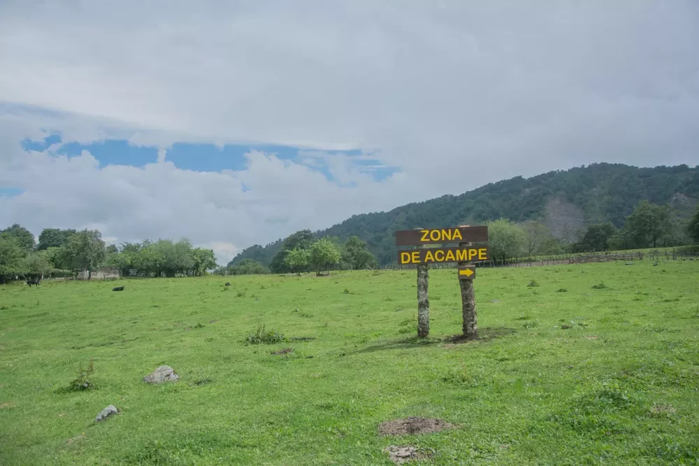 48024A91-D9F6-48F6-A0A0-0D77F77535D2