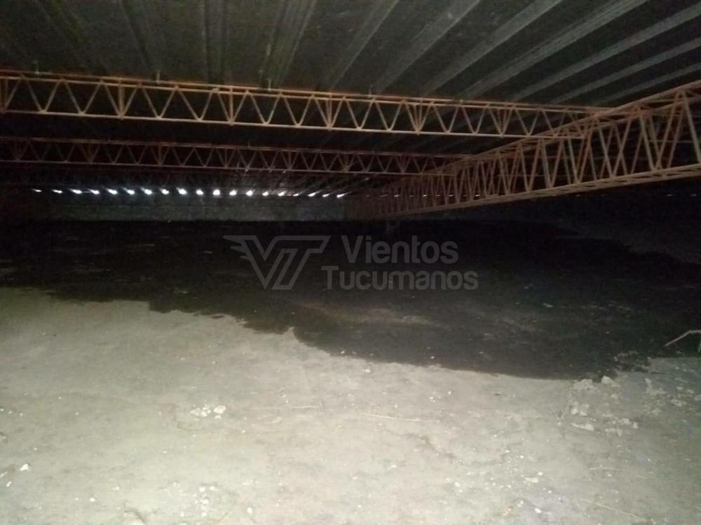 PicsArt_02-04-12.07.15