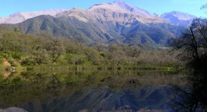 A076D688-FDBB-4AB4-8DB0-3753F56AE93C