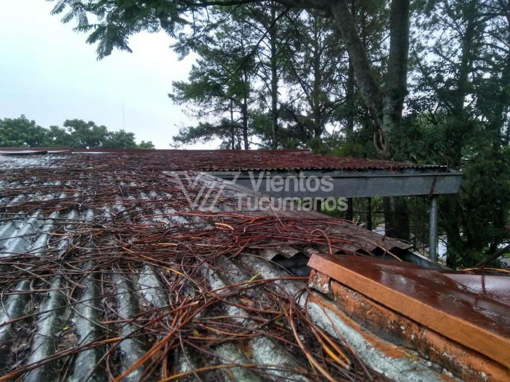 PicsArt_02-04-12.03.41