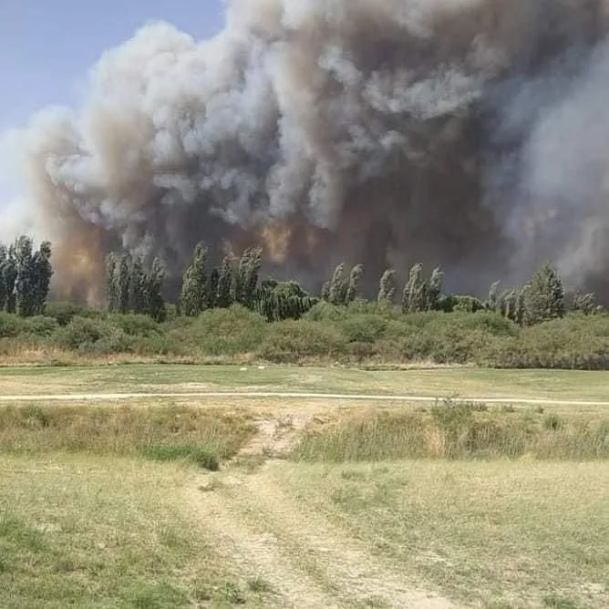 5b53ed73-1a1a-43ac-9521-c6c46d12bb04