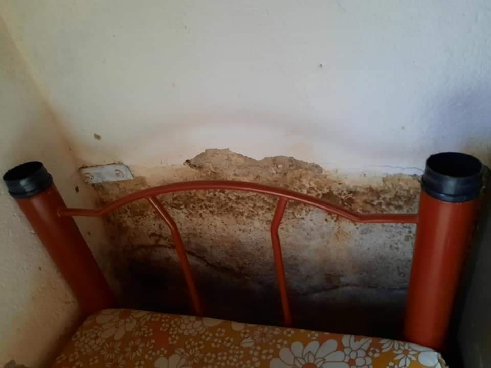 FB_IMG_1616691665303