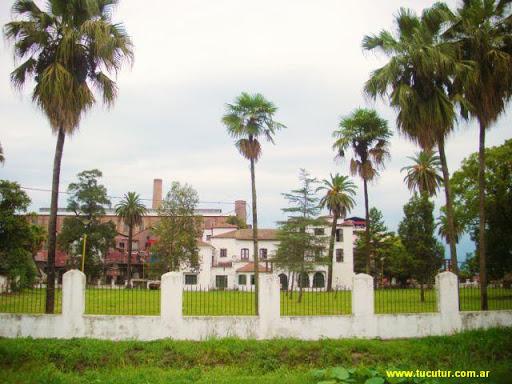 ingenio bella vista