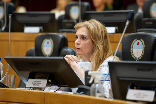 Silvia Elias de Perez