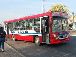 colectivo 2