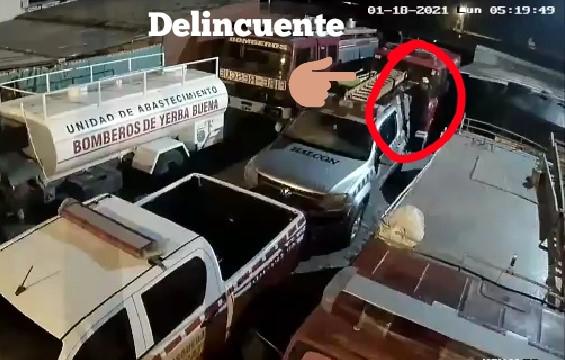 delincuente