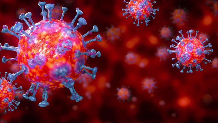 Coronavirus-2