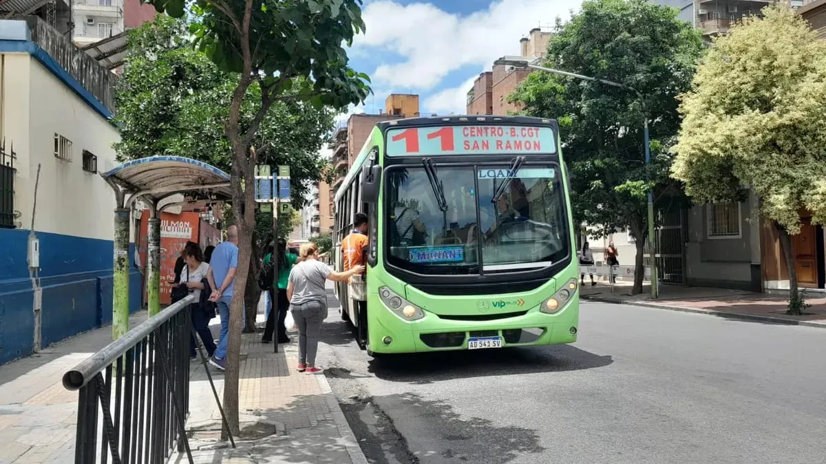 omnibus