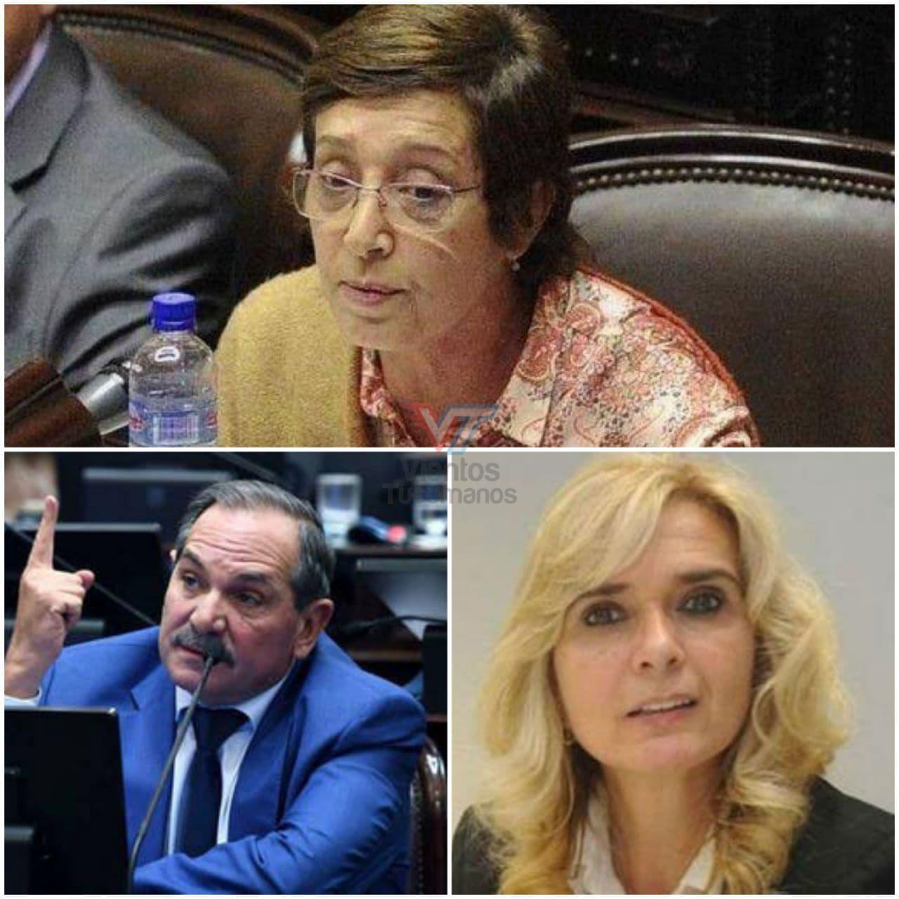 senadores