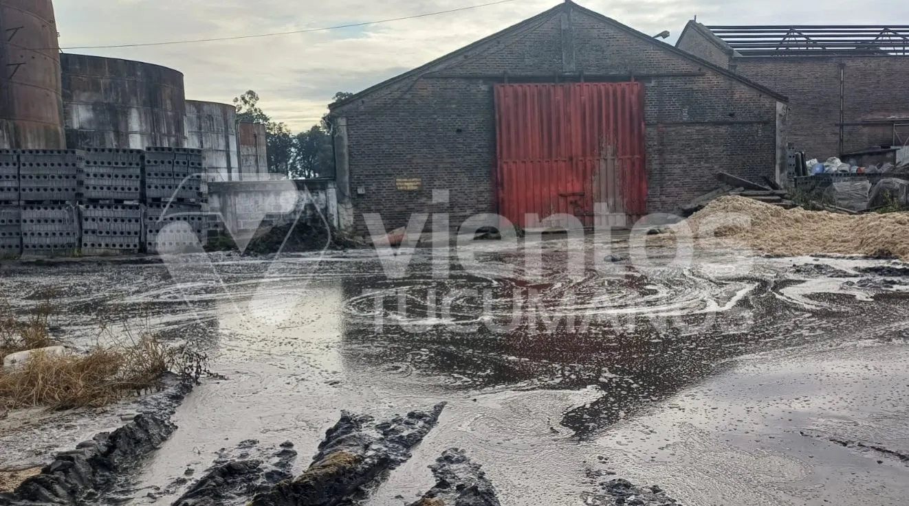 0ACD59F3-C949-4617-941E-DF8C5BB72609