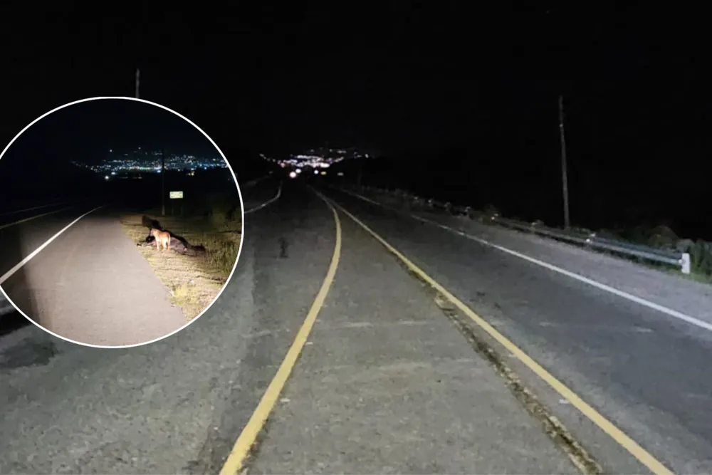 Ruta provincial 307 iluminación 