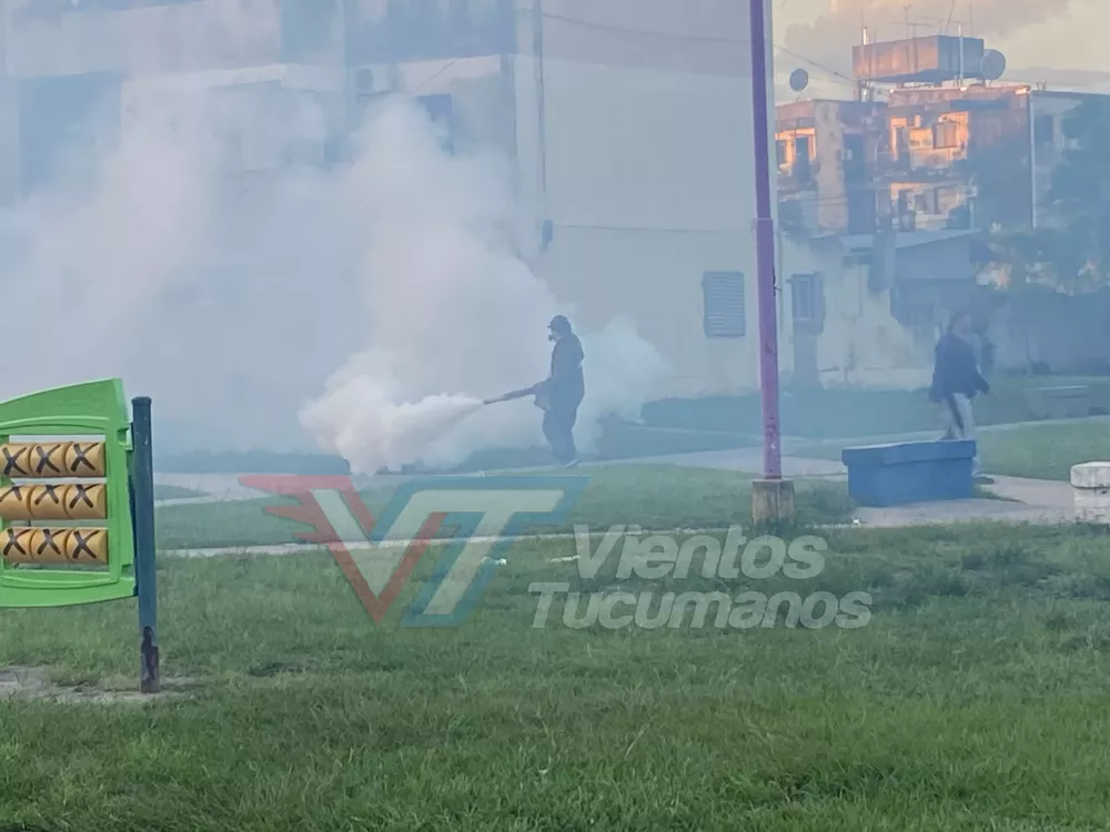 Fumigación dengue