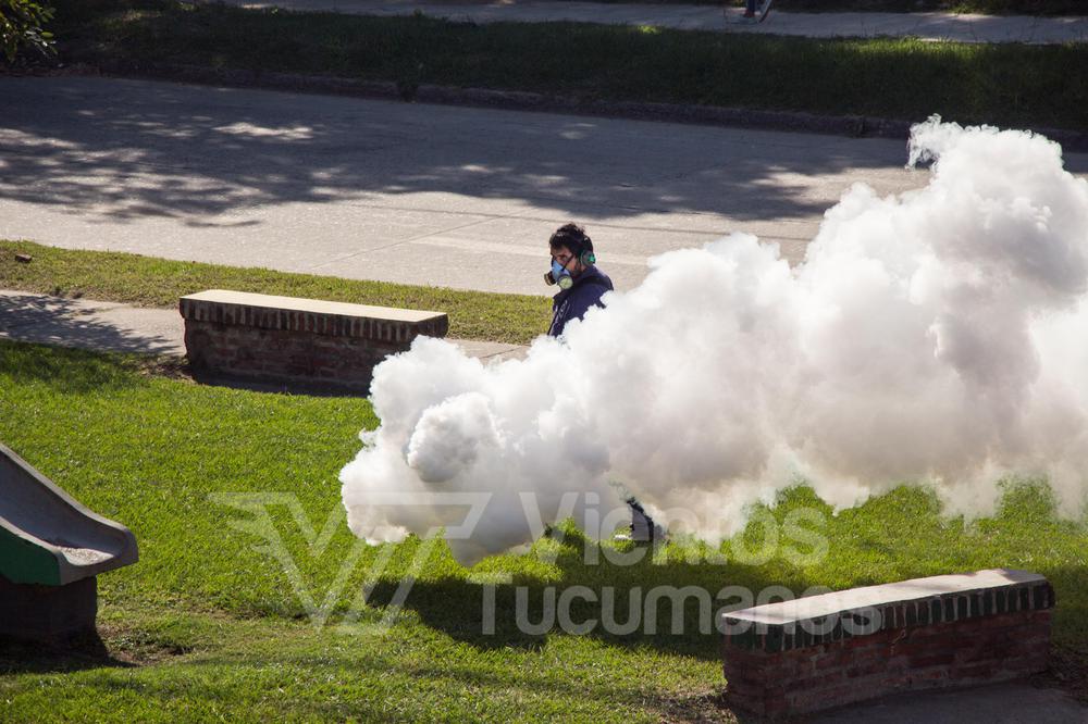 fumigación dengue
