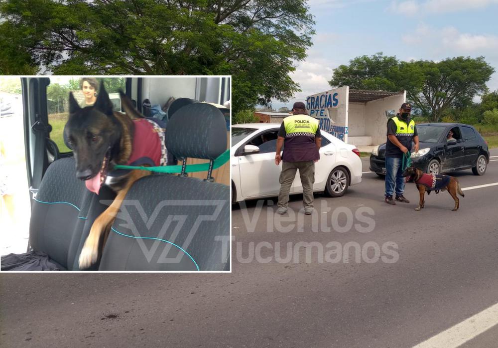 PicsArt_01-26-01.41.43