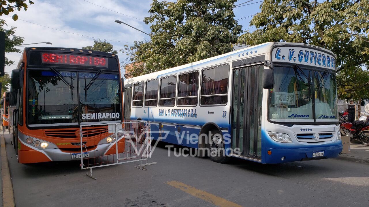 colectivos
