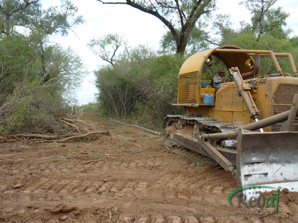 ley bosques nativos