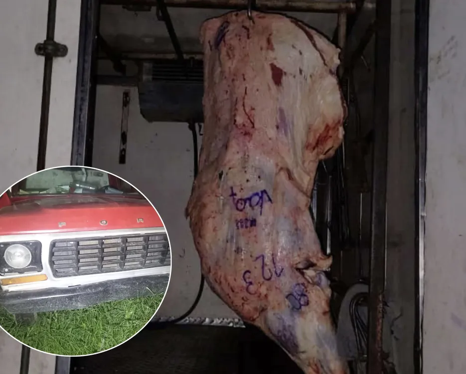 A517999A-CA32-4E0F-81DA-1911EA96AAE9