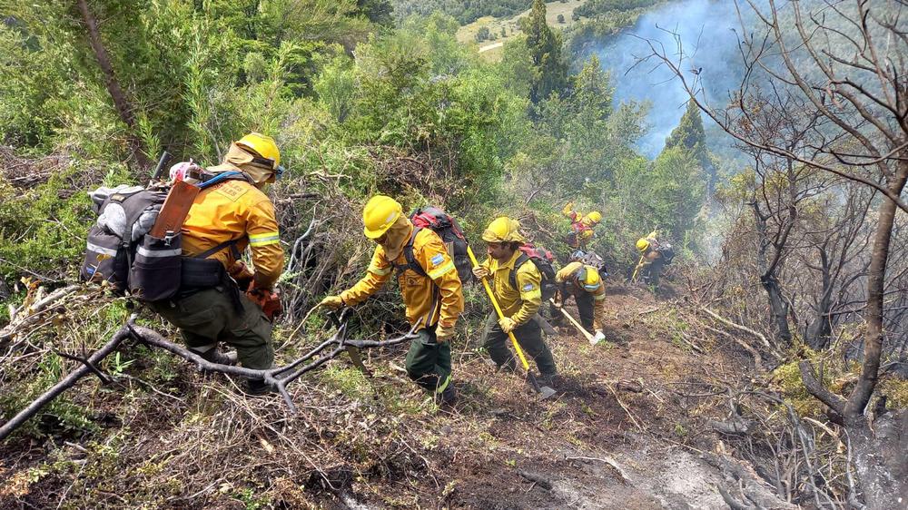 Bomberos brigadistas brigada incendios forestales