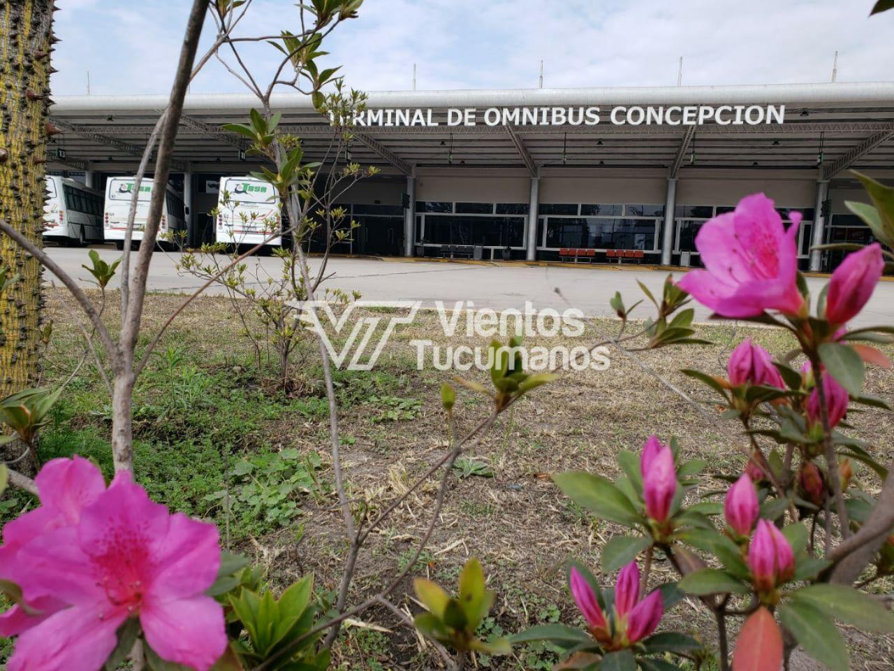 termina de ómnibus concepción colectivo paro