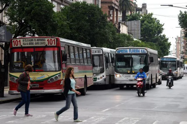 colectivos