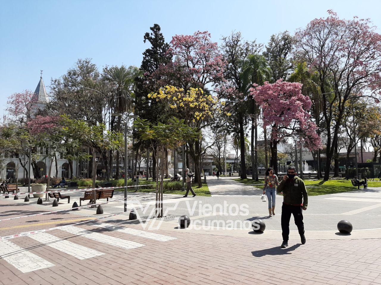 concepción plaza mitre semi peatonal
