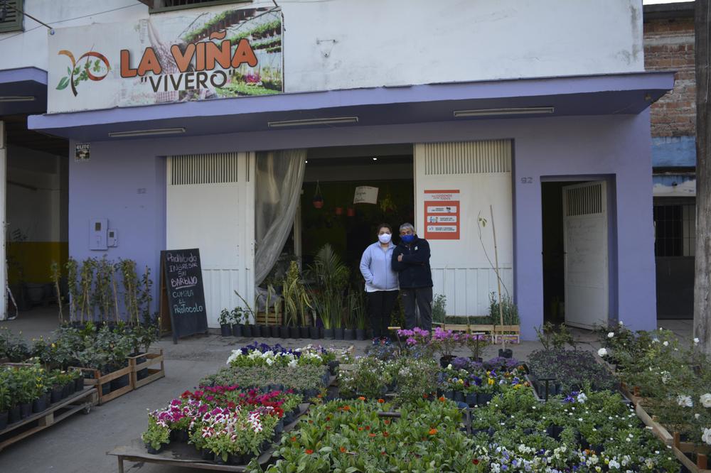 vivero la viña