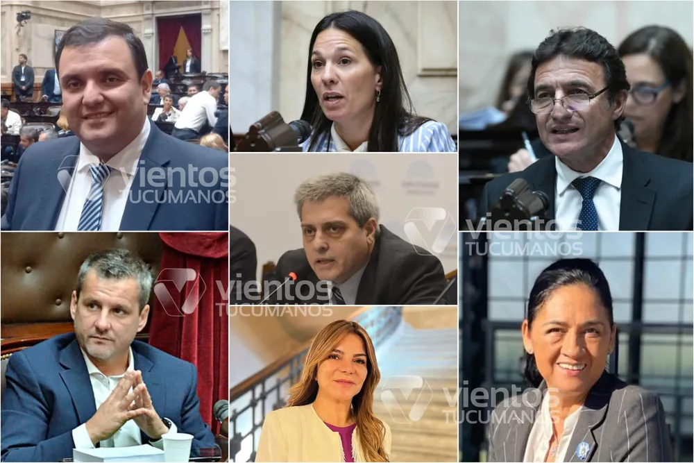 Los Diputados tucumanos que votaron a favor del DNU