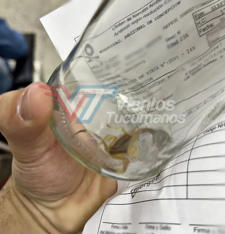 EEA6FCB6-9EDA-417F-936E-98CE98E39E3C