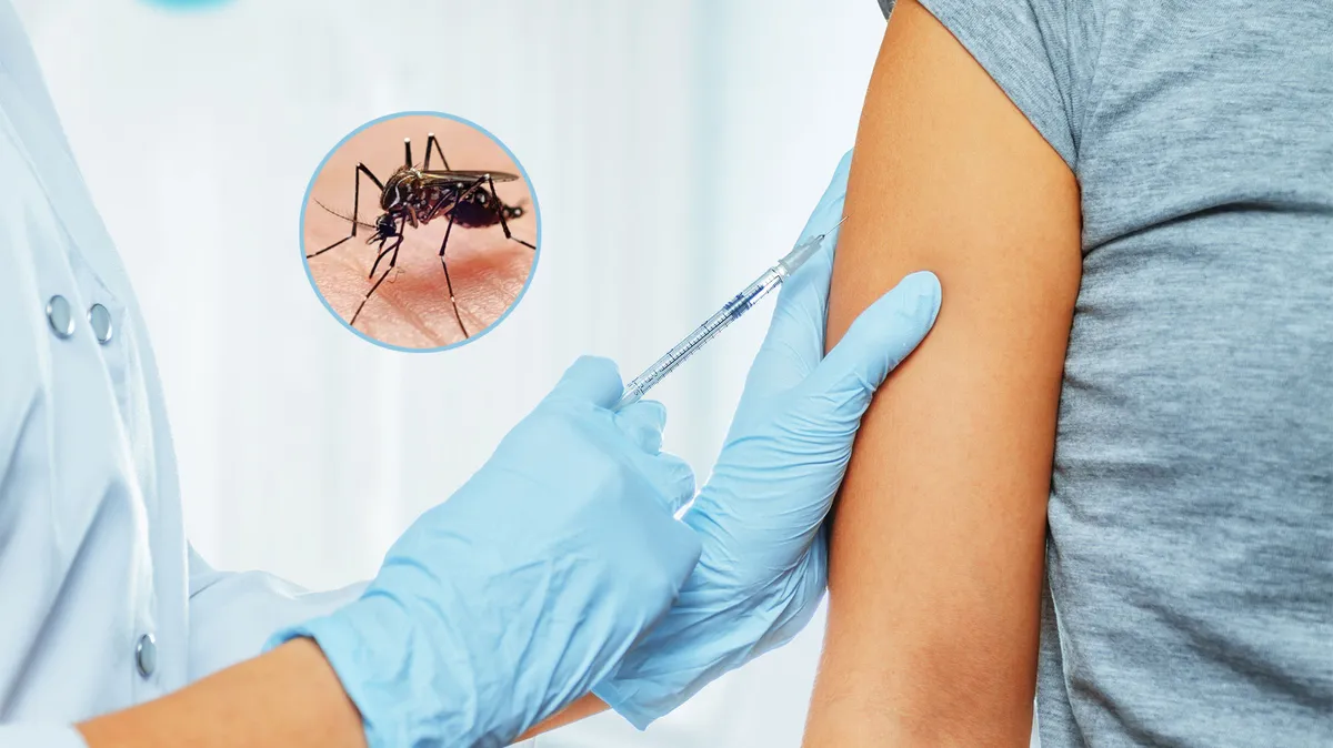 dengue 1