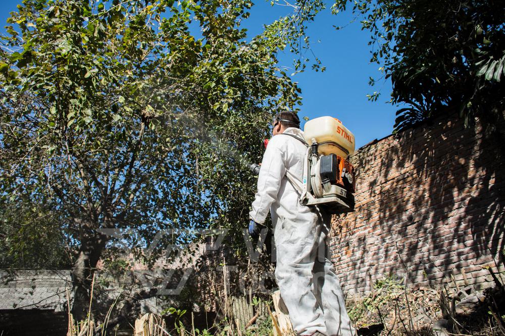 dengue tucumán río seco