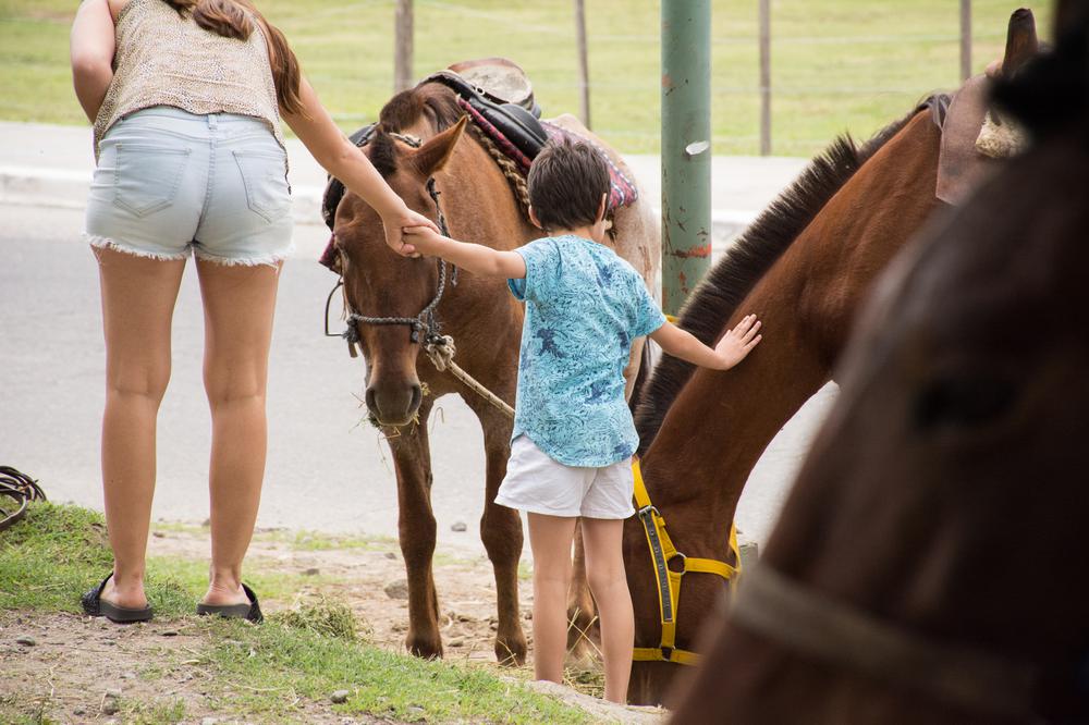 tafi del valle turismo 