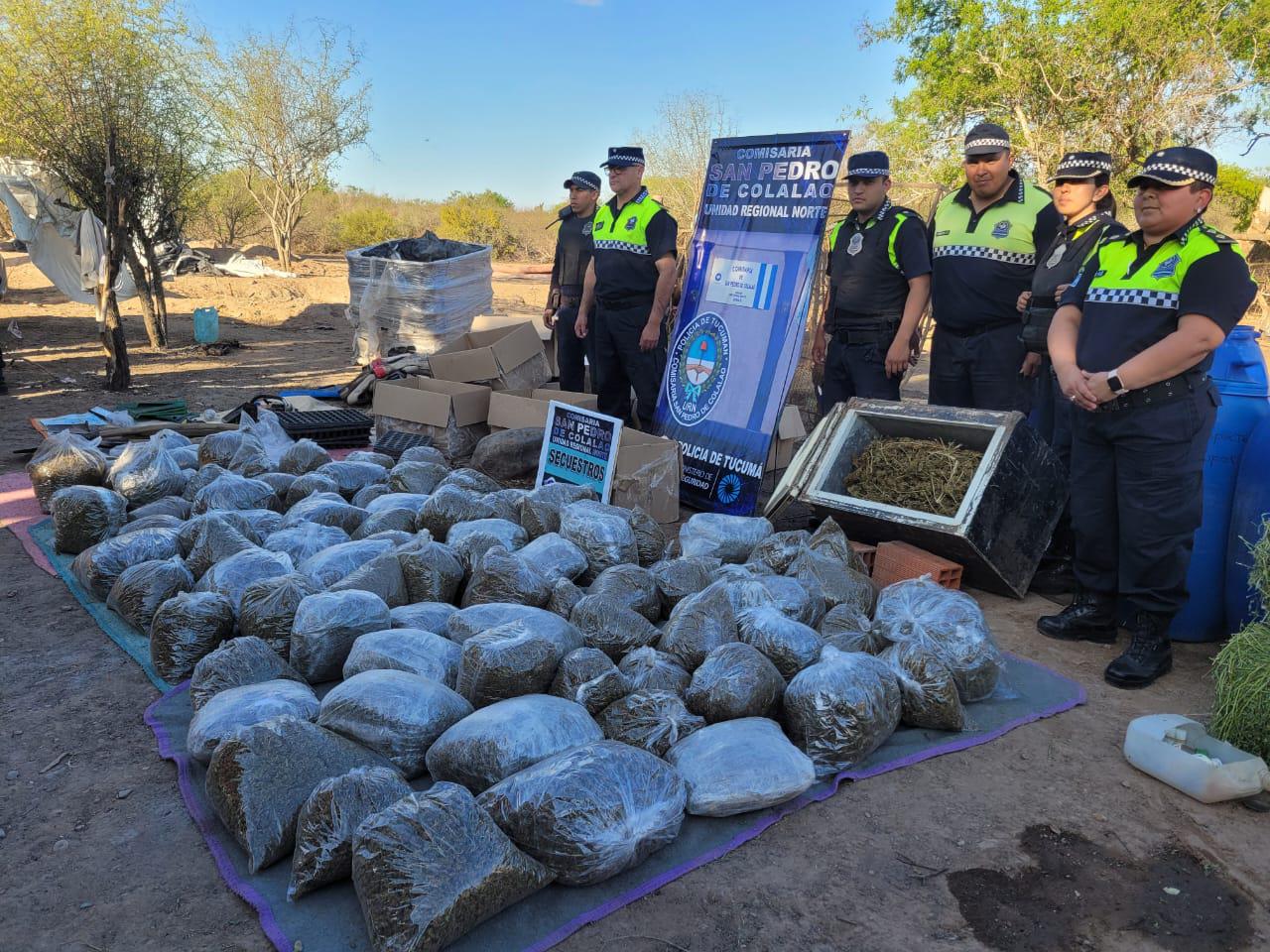 marihuana trancas narcotráfico