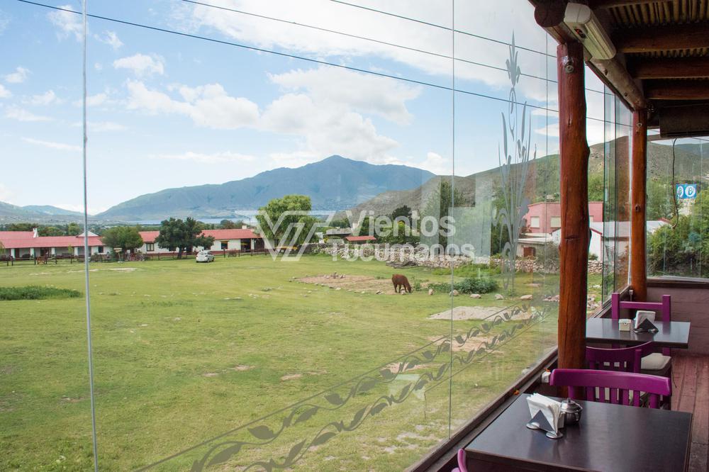 tafi del valle turismo interno