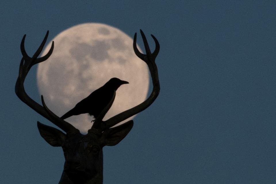 superluna2